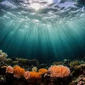 光の差し込む海の底